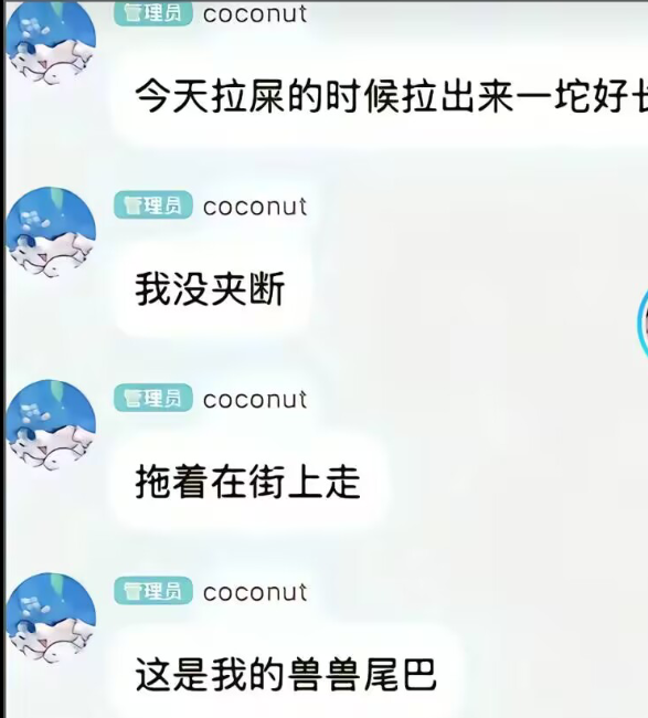 发癫记录4